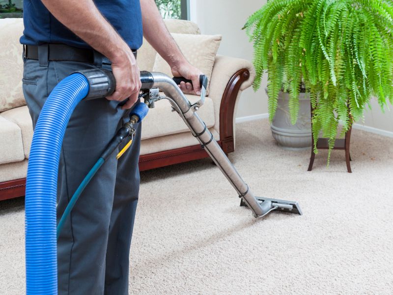 5 Reasons Why Regular Carpet Cleaning Is Essential for Your Home